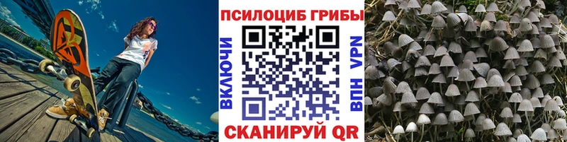 Псилоцибиновые грибы прущие грибы  дарнет шоп  Грайворон 